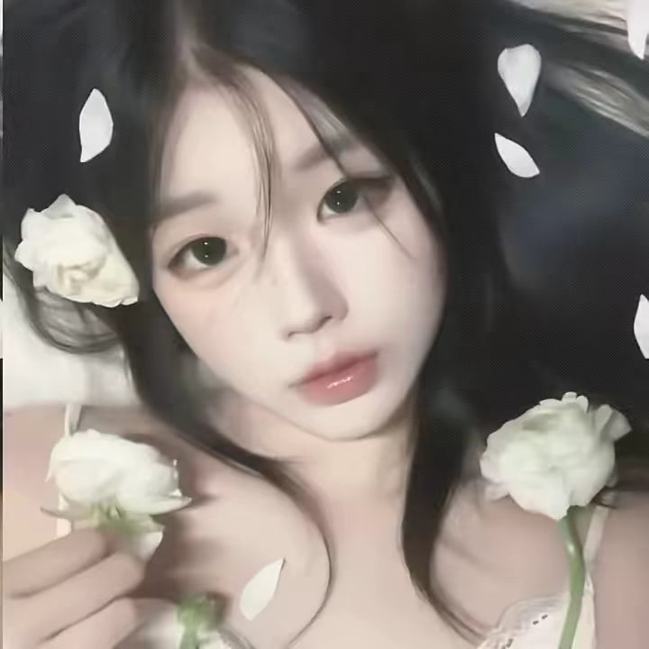悔将心动付流年