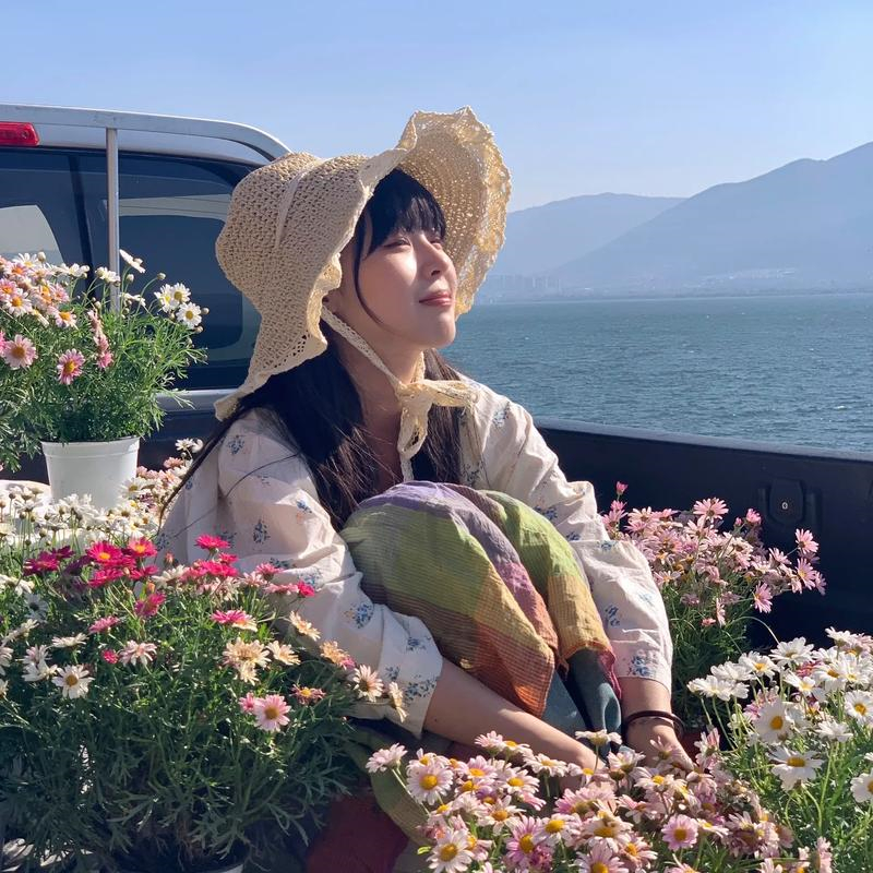 晚风不拾旧流年