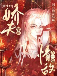 重生后娇夫要和情敌在一起封面